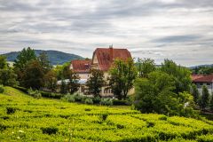 IMG_6361