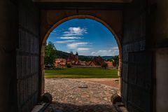 IMG_6396