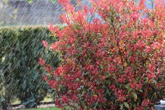 IMG_1326