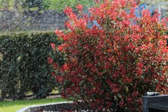 IMG_1347