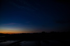 IMG_6121