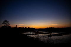 IMG_6153
