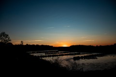 IMG_6169