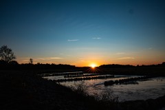 IMG_6175