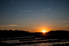 IMG_6180