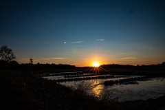 IMG_6184