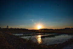 IMG_6201