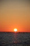 IMG_1171
