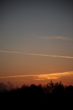 IMG_1241