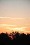 IMG_1246