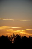IMG_1246_bearbeitet