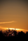 IMG_1252