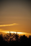 IMG_1252_bearbeitet