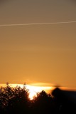 IMG_1258