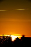 IMG_1258_bearbeitet