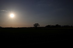 IMG_3663