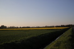 IMG_3671