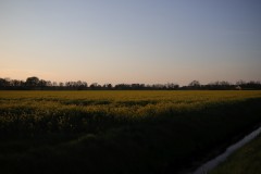 IMG_3708