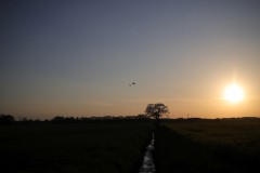 IMG_3713
