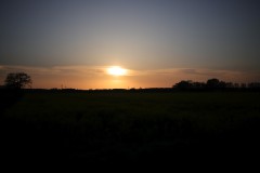 IMG_3733