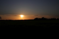 IMG_3740