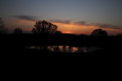 IMG_3765
