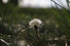 IMG_3838