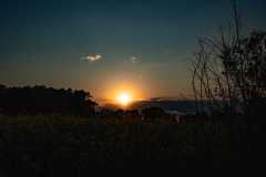 IMG_1079