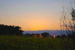 Unbenannt_HDR-2
