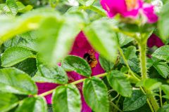 IMG_5944