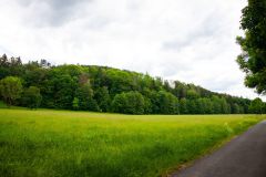 IMG_6000