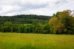IMG_6013