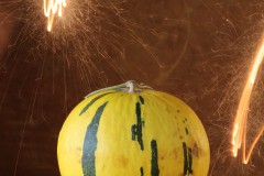 IMG_9718