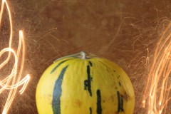 IMG_9725