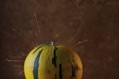 IMG_9740