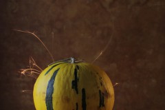 IMG_9741