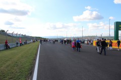 IMG_6237