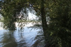 IMG_7676