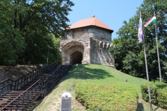 IMG_7689