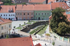 IMG_7826