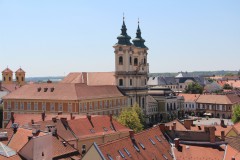 IMG_7827