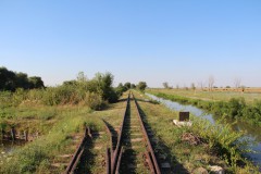 IMG_7904