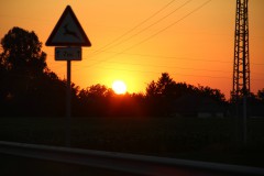 IMG_7943