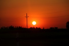 IMG_7947