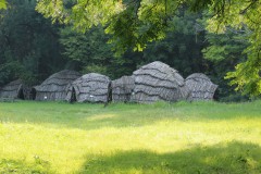 IMG_8177