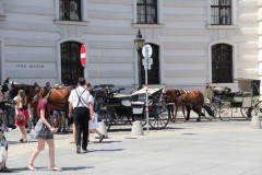 IMG_8238