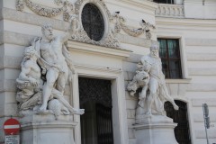 IMG_8239