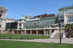 IMG_8251