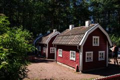 IMG_2584