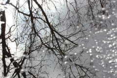IMG_1023